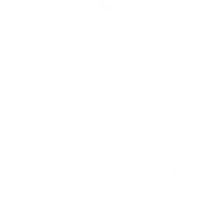 Selo branco circular oficial da Boris the Cat com a inscrição tipográfica Fine Art & Documentary Weddings since 1999.